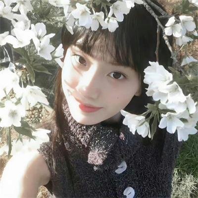 四朵花之家 在线观看