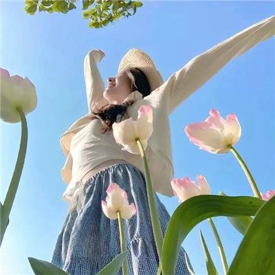 权欲第四季 在线观看